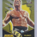 Shawn Stasiak - Planet Stasiak WWE